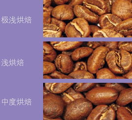 咖啡豆的烘焙 你真的了解吗？别整天拿铁卡布，不知道到底喝的啥
