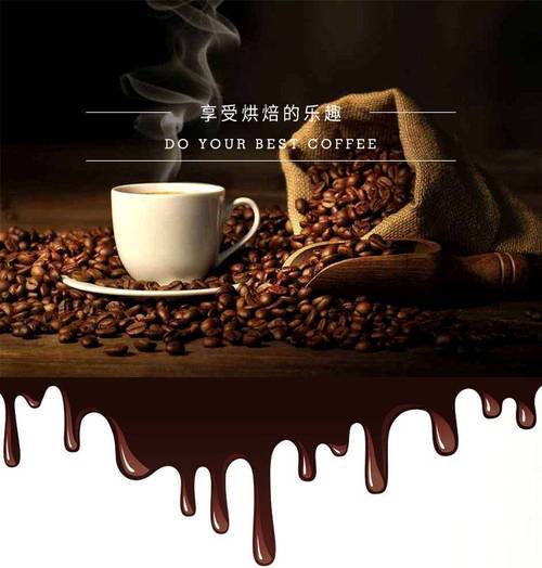 东亿12kg咖啡豆烘焙机 商用咖啡烘焙机 烘豆机 厂家直销